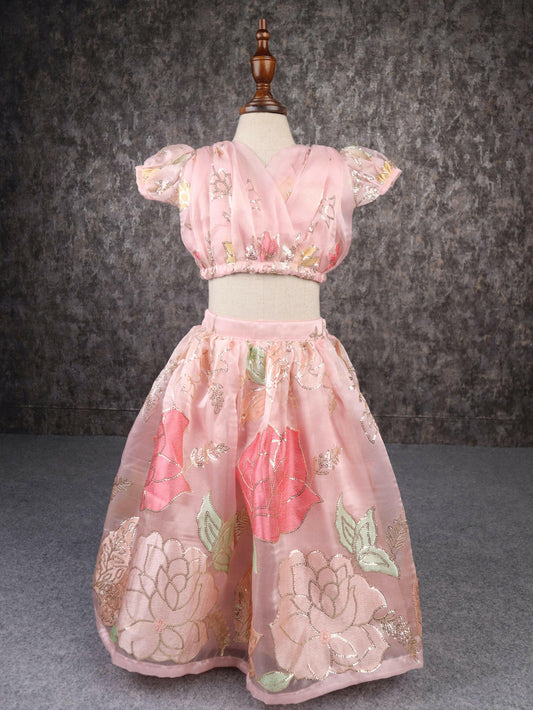 Pear Bear Beautiful Pink Organza Lehenga.