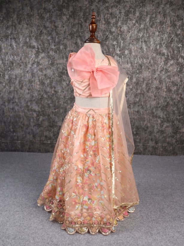 Pear Bear Classy Multicoloured Embroidered Lehenga.