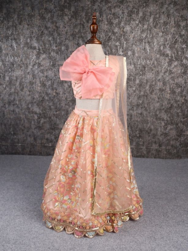 Pear Bear Classy Multicoloured Embroidered Lehenga.