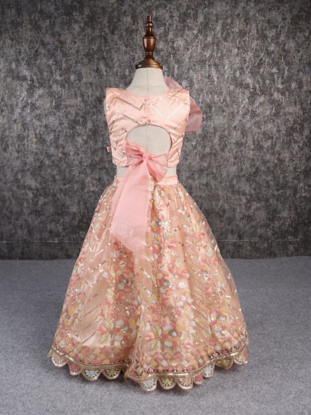 Pear Bear Classy Multicoloured Embroidered Lehenga.