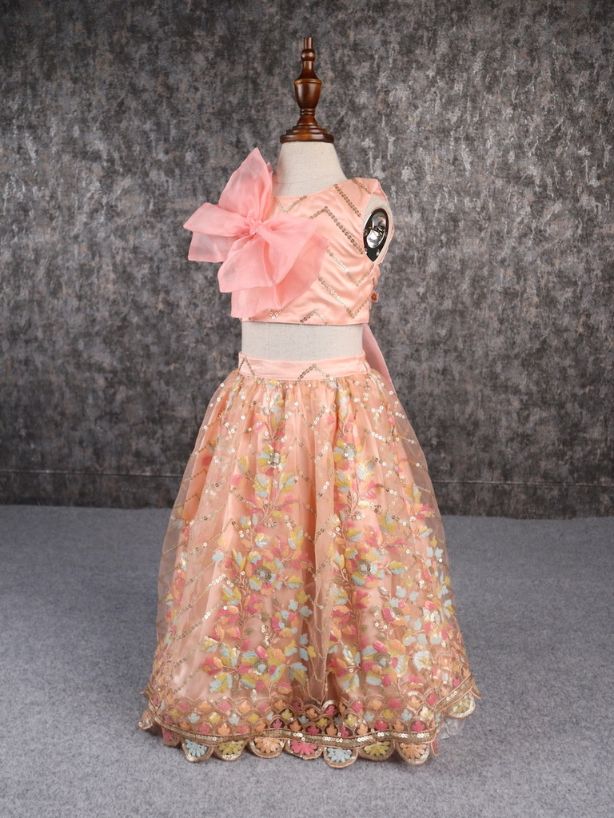 Pear Bear Classy Multicoloured Embroidered Lehenga.