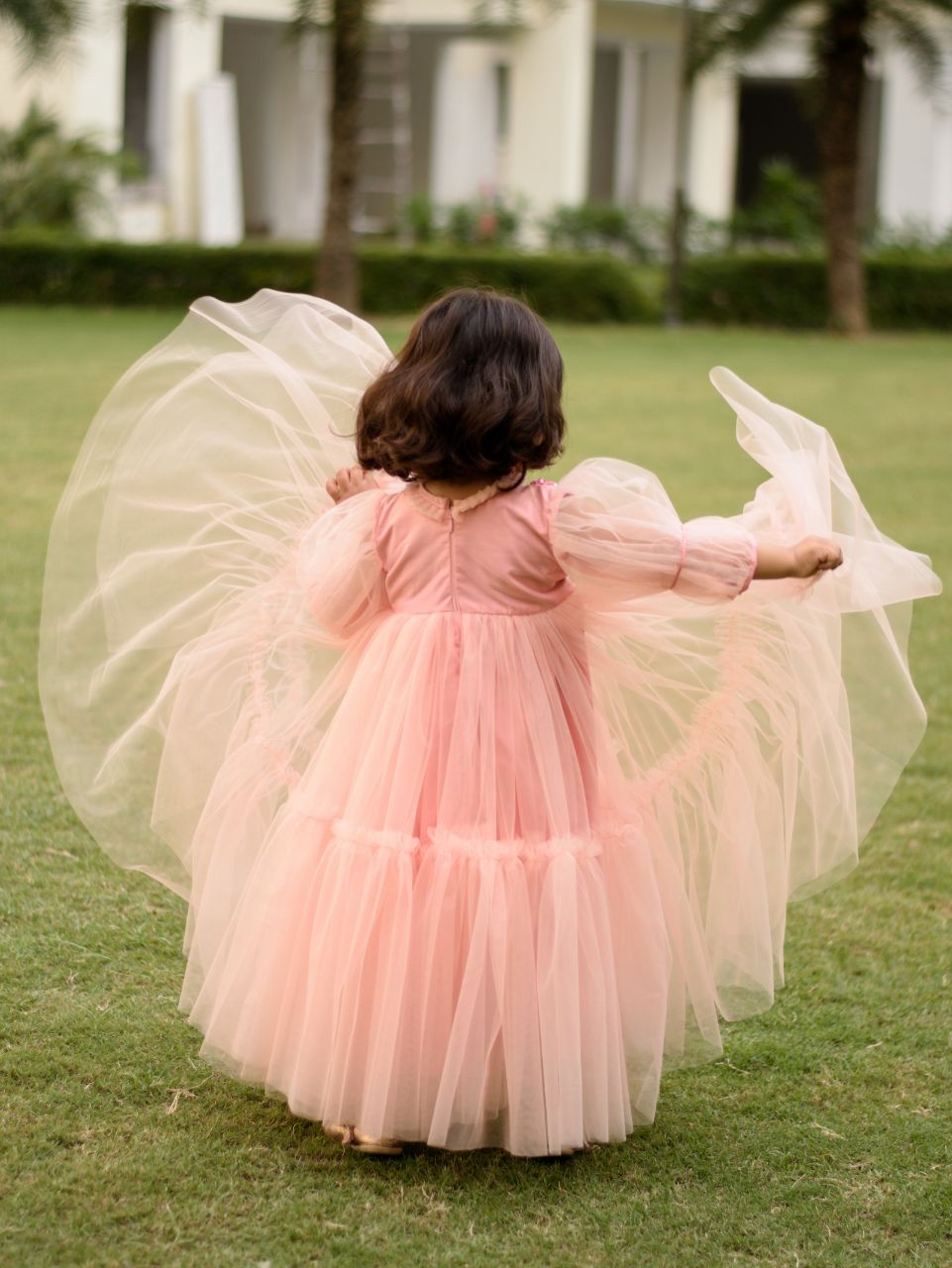 Pear Bear Peachy Roses.