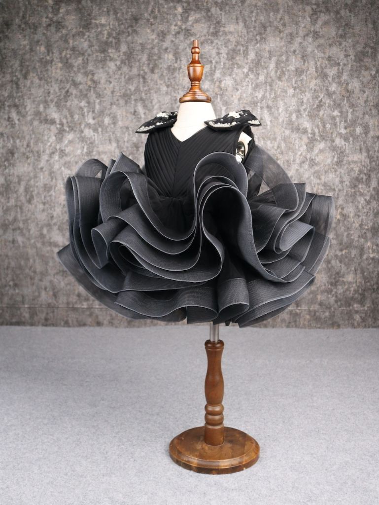 Pear Bear Stylish Ruffle Net Black Dress.